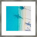 Aerial Beach, Beautiful Coastline. Palm Framed Print