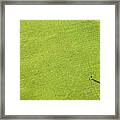 Aerial View Of Large Green Lawn, People Framed Print