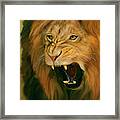 African Lion Ferocity Framed Print