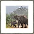 African Road Block Framed Print