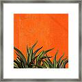 Agave Cactus, Vivid Orange Stucco Wall Framed Print