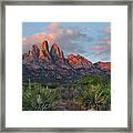 Organ Moutains, Aguirre Spring Framed Print