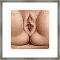 Age Of Puberty, Vagina Framed Print