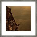 All The Way Down Framed Print