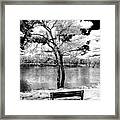 Along The River At Washington Crossing In New Jersey Framed Print
