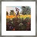 Amberley Green 1 Framed Print