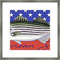 American Striper Striped Bass Flag Framed Print