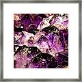 Amethyst Dream Framed Print