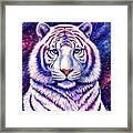 Among The Stars - Cosmic White Tiger Framed Print