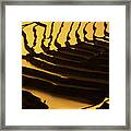 Among The Terraces Framed Print