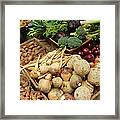 An Assortment Of Different Root Framed Print