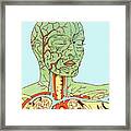 Anatomy Of Head And Chest Framed Print