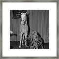 Animal Stars Posing With Trophies Framed Print