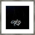 Animals At Jkulsrln Iceberg Zoo (5/5) Framed Print