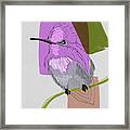 Annas Hummingbird Framed Print
