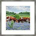 Another Confrontation Framed Print