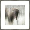 Antique Wildlife Buffalo Framed Print