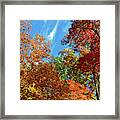 Appalachian Autumn Canopy Framed Print