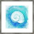 Aqueous Shells Iv Framed Print