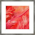 Ardent Framed Print