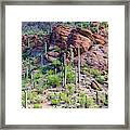 Arizona Desert Saguaro Forest Framed Print