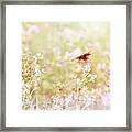 Around The Meadow 11 Framed Print