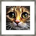 Artistic Puss In Boots Framed Print