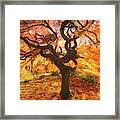 Artsy Autumn Colors Framed Print