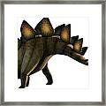 Artwork Of A Stegosaurus Dinosaur Framed Print