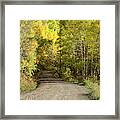 Aspen Tunnel Framed Print