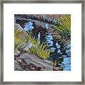 Atlanta Botanical Gardens Framed Print