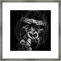 Attitude Framed Print