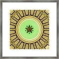 Austin Texas Capitol Dome And Lone Star 1x1 Framed Print