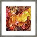 Autumn Butterfly Framed Print