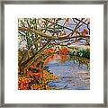 Autumn By The River Framed Print