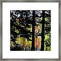 Autumn Colors At The Spa Framed Print