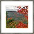 Autumn In Acadia Framed Print