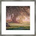 Autumn In Catalonia Framed Print