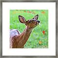 Autumn Is In The Air Framed Print