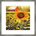 Autumn Joy Framed Print