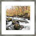 Autumn Mountain Stream Framed Print