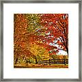 Autumn Near Conway, New Hampshire Framed Print