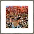 Autumn Park Landscape Framed Print