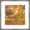 Autumn Park Framed Print