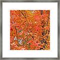 Autumn Peak Framed Print