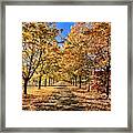 Autumn Road Framed Print