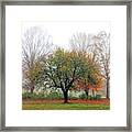 Autumn Trees In The Fog 2 Framed Print