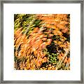 Autumn Vortex Framed Print