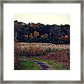 Autumn Wetlands Framed Print