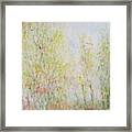 Autumn's Bright  Colors Framed Print